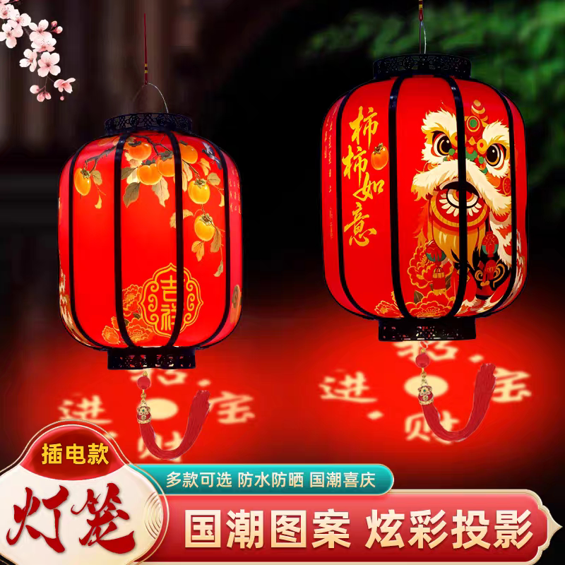2026新款中式灯笼一对LED插电遥控阳台大门庭院装饰乔迁新居走廊