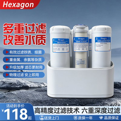 维迈科士威高能量大机滤芯活水机