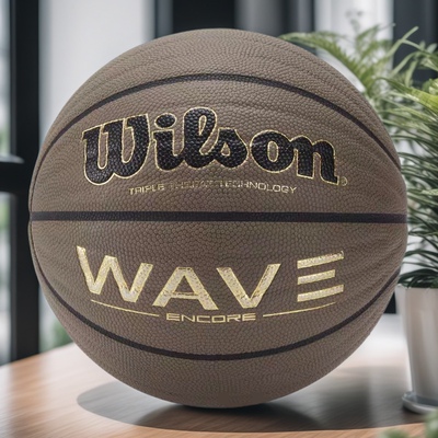 威尔胜篮球正品WAVEENCORE防尘