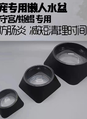 爬宠懒人水盆蛇类守宫蜘蛛爬虫专用一次性可替换水食碗防逃不易翻