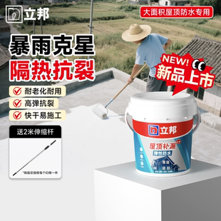 立邦云净屋顶补漏防水涂料胶材料抗裂防漏堵漏王漏水外墙隔热自刷