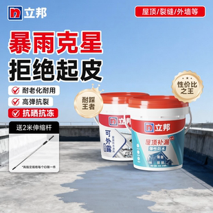 立邦屋顶补漏防水胶补漏裂缝渗水防水材料涂料水泥房顶楼顶堵漏王