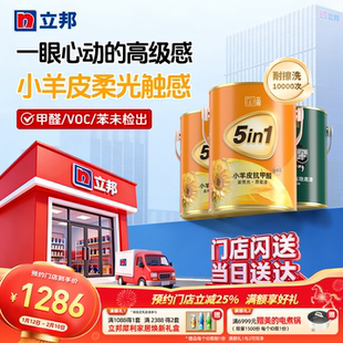 立邦竹炭抗甲醛五合一小羊皮效果漆B4家用墙面乳胶漆涂料油漆同城