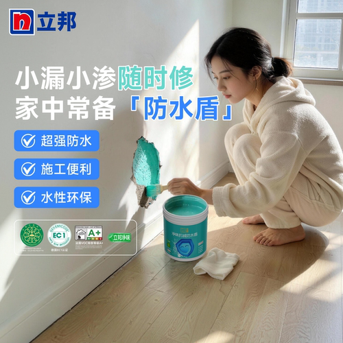 立邦抗碱防水盾防潮防霉墙面涂料