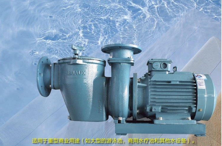 EMAUX/意万仕SE水铁泵泳池设备泳池循环水泵 大型商用泳池水疗池