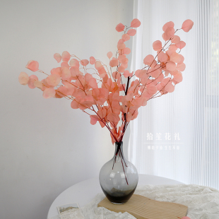 彩色永生尤加利苹果叶干花真花桉树叶装饰客厅摆件插花婚庆花材