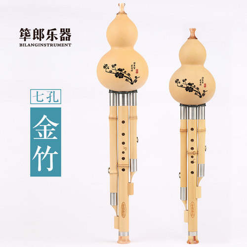 筚郎葫芦丝有视频课送