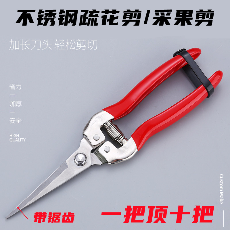 采果剪盆景园林疏花葡萄花喜鹊