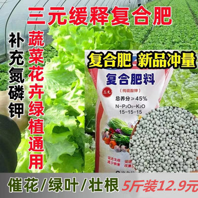 肥料蔬菜农用果树盆栽氮磷三元