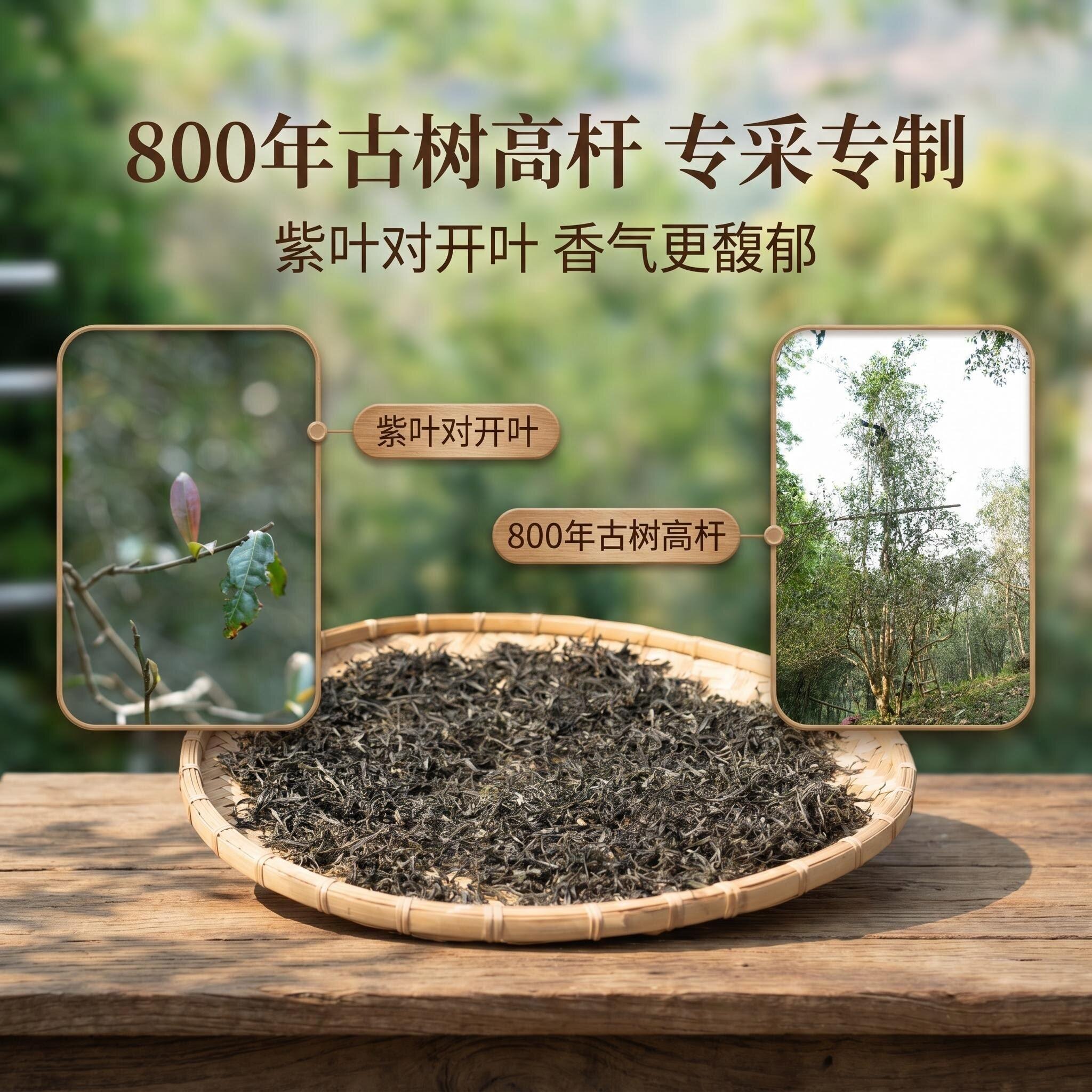 原产地古树春茶直发 易武茶山纯料2026年普洱茶生茶散茶可定制茶