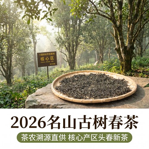 甘甜野韵花香丝滑细腻古树春茶