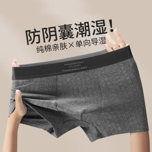 男士 阴囊防潮湿舒适男生平角短裤 夏季 四角男式 2026新款 纯棉内裤