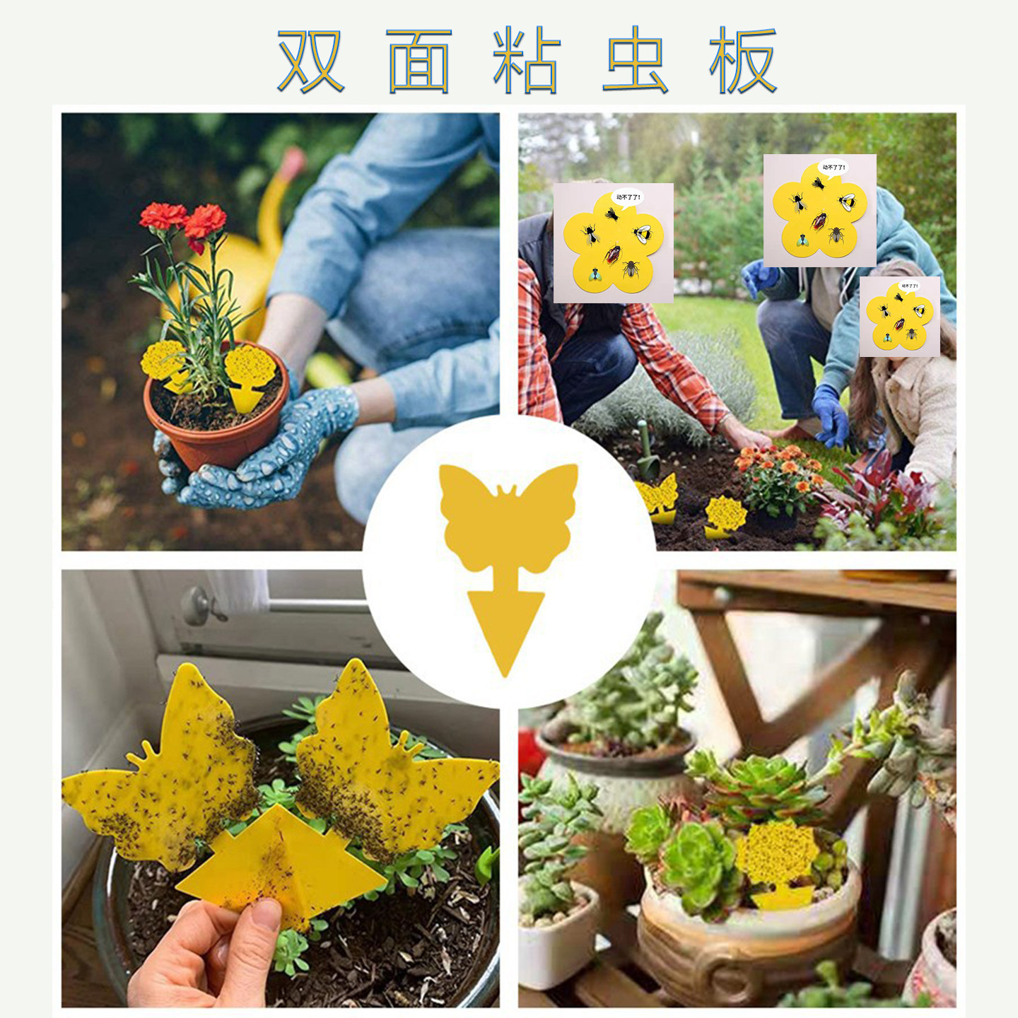 双面粘虫板诱虫板黄色蓝色灭小飞