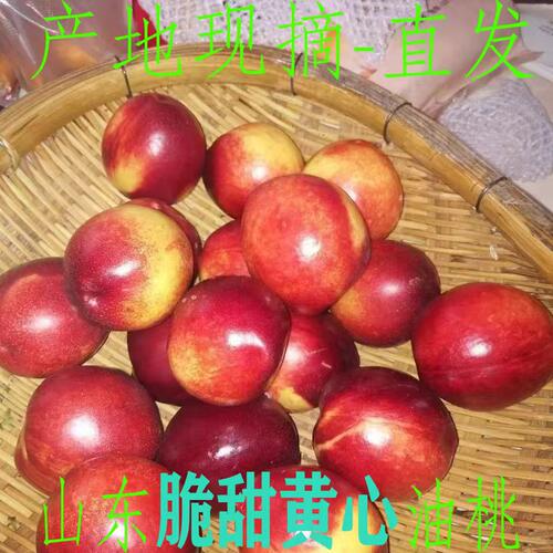 山东脆甜黄心油桃新鲜水果当季现摘农家自产桃子孕妇酸甜可口商超