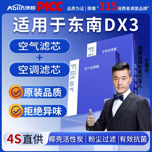 [高效过滤]东南DX3空调空气滤芯
