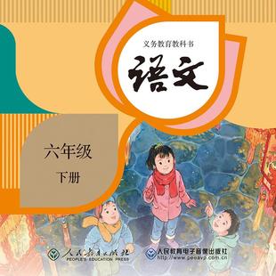 ROM 义务教育教科书 语文 下册2片 六年级 非纸质书