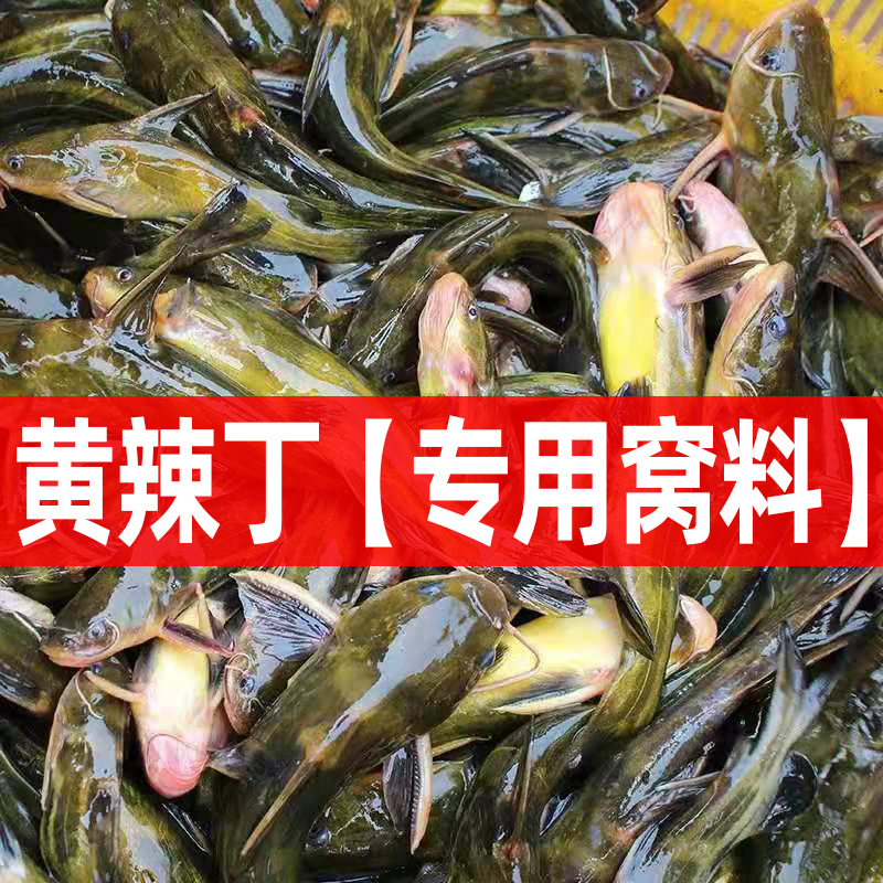 黄颡鱼黄辣丁昂刺鱼饵料打窝料
