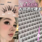 免胶免卸 5D水貂绒三部曲毛绒绒假睫毛懒人上镜自然日常卷翘纤长