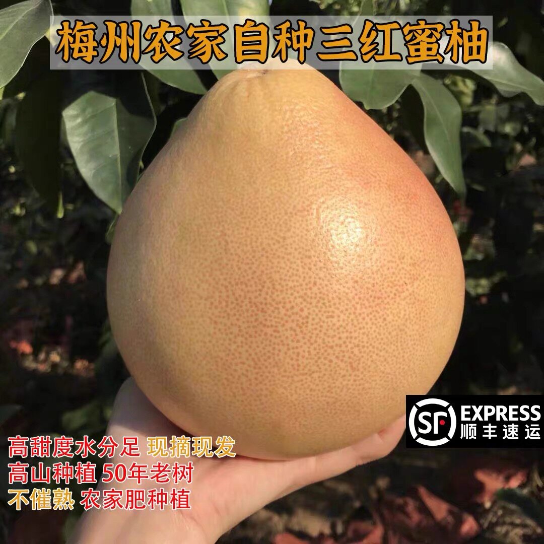 梅州红肉蜜柚三红柚白心红心水果
