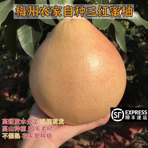 梅州红肉蜜柚三红柚白心红心水果