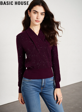 Basic House/百家好紫色细闪针织衫女2026春季新款设计感V领上衣