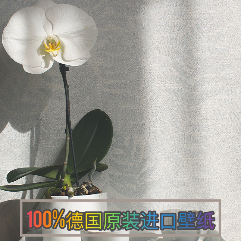 现货艾仕德国进口壁纸 侘寂风北欧现代白色叶子简约卧室背景墙纸