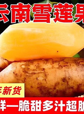 云南天山雪莲果新鲜孕妇水果黄心清甜特级当季红泥沙红心一级正宗