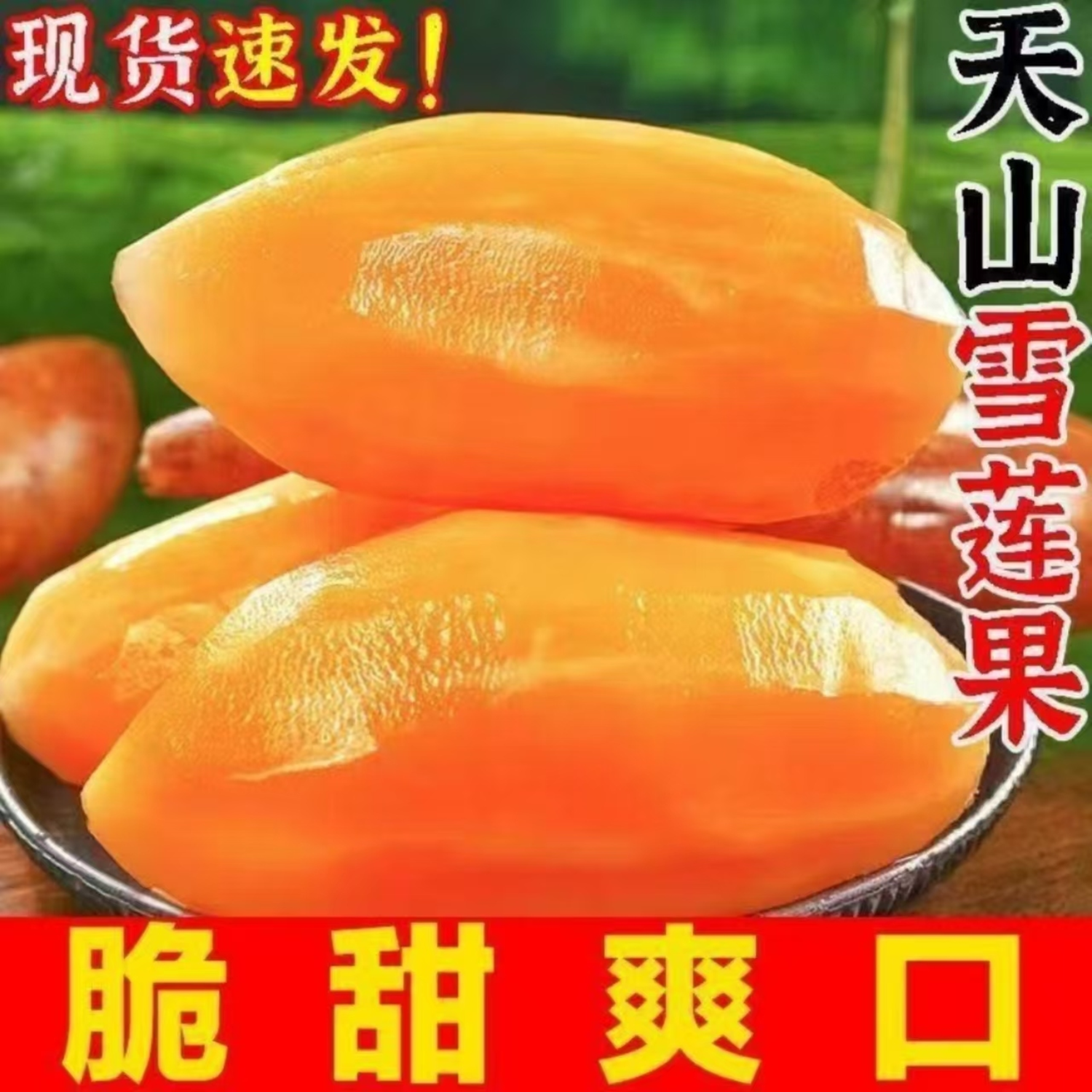 雪莲果新鲜水果云南天山当季黄心低糖孕妇一级正宗雪莲果现挖现发