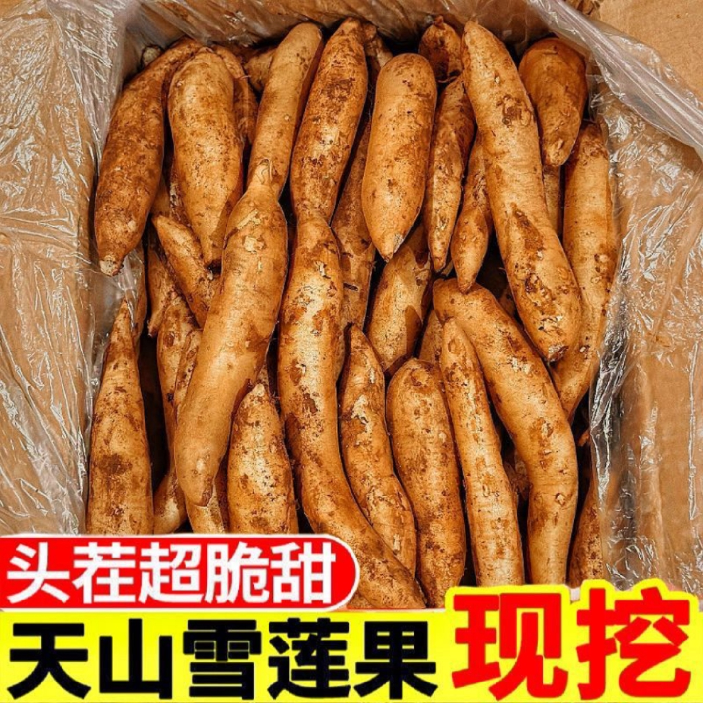 云南天山雪莲果当季应季红心特级雪莲果
