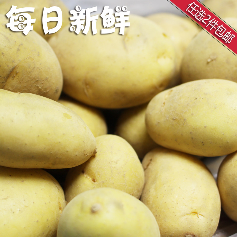 贵州新鲜 大土豆 大洋芋 马铃薯 1斤500克〔全店任选2件包邮