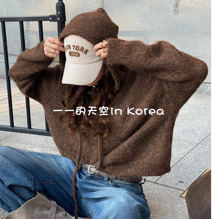 连帽针织衫女 韩国代购2025秋冬女装简约风随性百搭纯色宽松毛衣