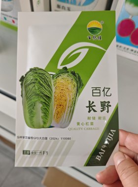 百亿长野大白菜种子冬储东北抗病
