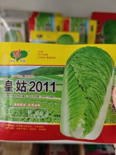 油绿类型秋白菜种子皇姑2011抗病外叶油绿不易干烧心耐储藏好吃