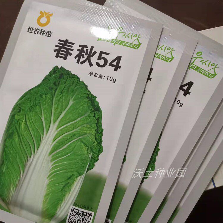 世农种苗春秋54白菜种子老品种好吃好卖春季秋季结球白菜耐低温