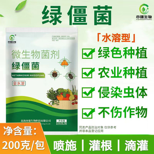 常规型绿僵菌亦强生物微生物菌
