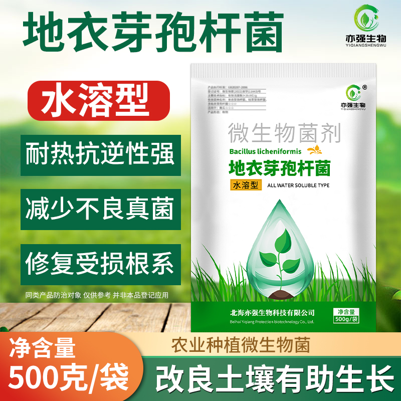 水溶地衣芽孢杆菌土壤改良溶菌