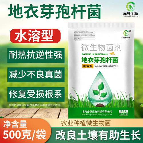 水溶地衣芽孢杆菌土壤改良溶菌