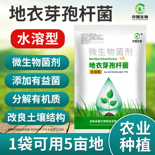 水溶地衣芽孢杆菌土壤改良溶菌