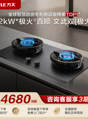 [专柜同款]方太J3/J3.D燃气灶煤气灶天然气嵌入式家用定时双灶台