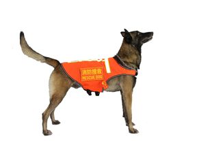 狗狗巡逻搜救犬衣服牵引式背心衣服夹棉冬季工作犬衣服布秋季背心