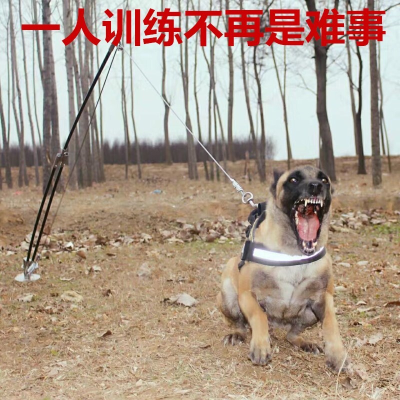训练训犬扑咬马犬德牧工作犬用品