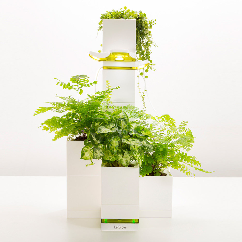【限量版】智能花盆室内阳光植物灯无绿植积木花园LeGrow10206
