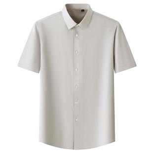 衬衣寸衫 普洛克正品 长短袖 春秋新款 中青年 男商务休闲易打理衬衫