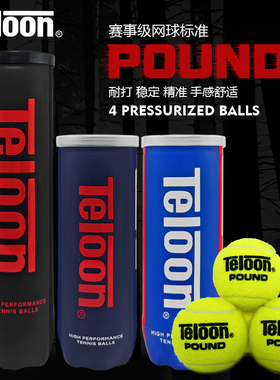 天龙网球POUND专业比赛用球P4冲击波耐打磨罐装高弹性训练球TOUR