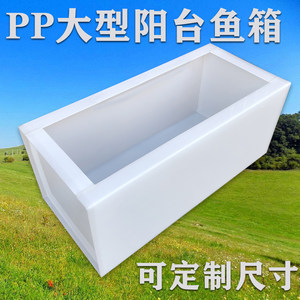 水槽金鱼价格 水槽金鱼图片 星期三