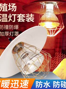 养殖场专用防水防爆保温灯