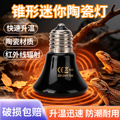 锥形迷你陶瓷加热灯爬宠保温灯红外线加热灯乌龟爬虫宠保温灯烤灯