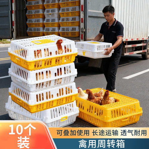 鸡笼周转箱运输笼筐塑料养殖笼