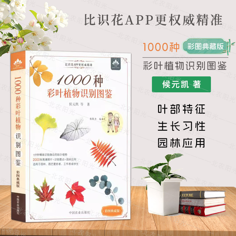 1000种彩叶植物识别图鉴彩图典藏