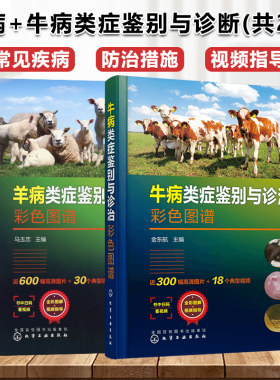 牛羊病诊断与治疗养牛羊技术书籍